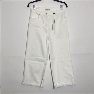 ZARA The Culotte Wide/Crop Hi Rise Frayed Hem Jean